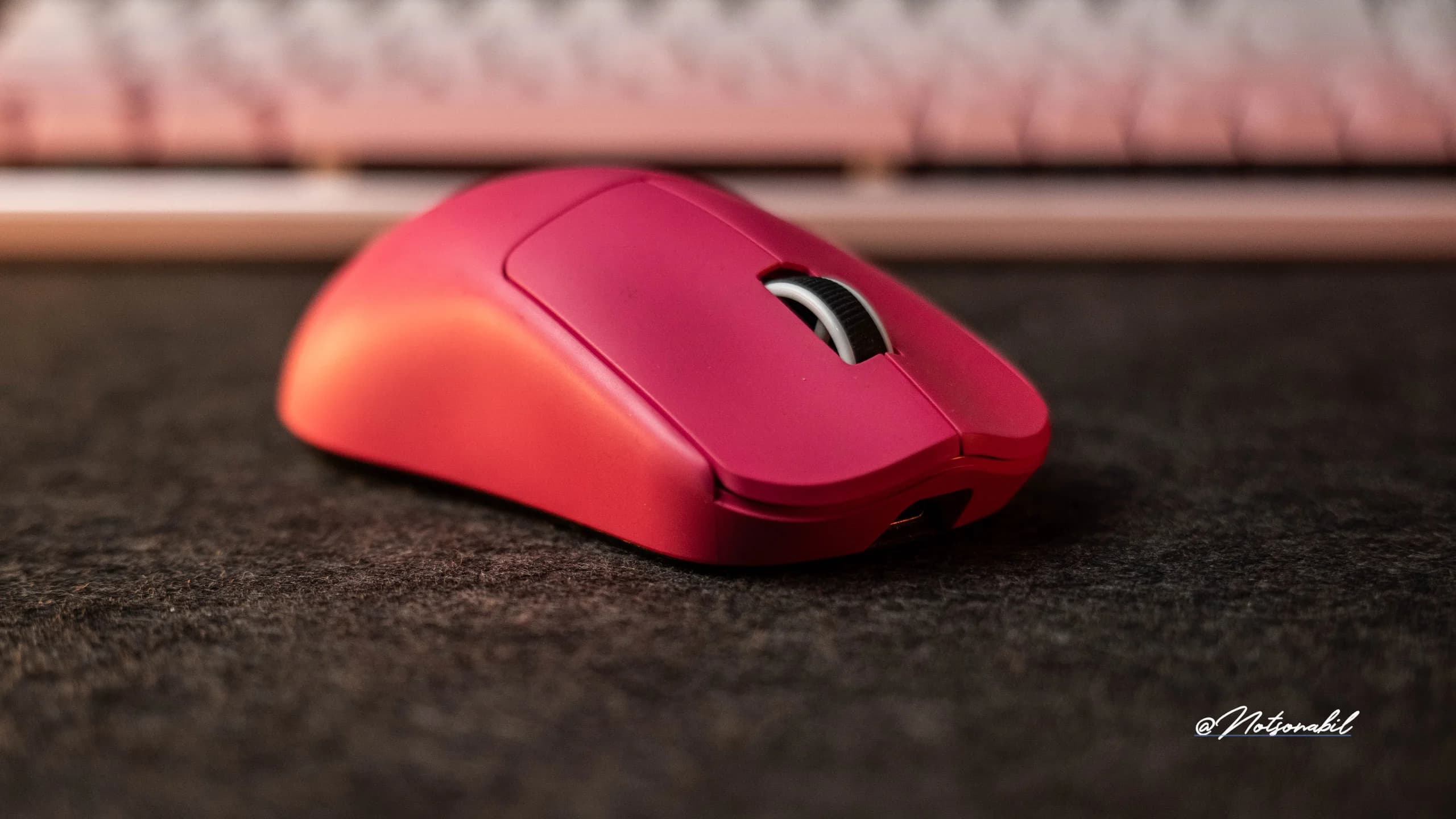 mouse